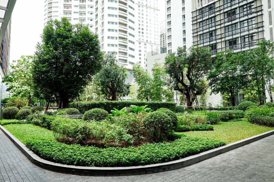 Park24 (พาร์ค 24) for rent