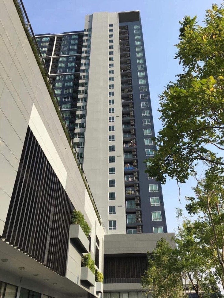 Ns: For Rent!! The Base Sukhumvit 77