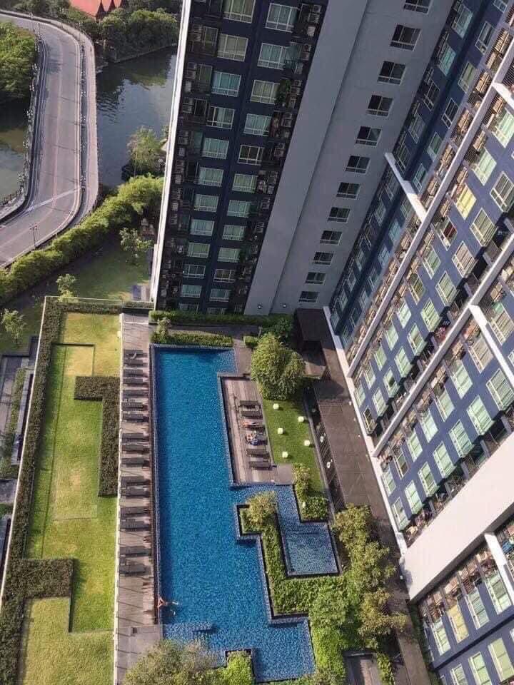 Ns: For Rent!! The Base Sukhumvit 77