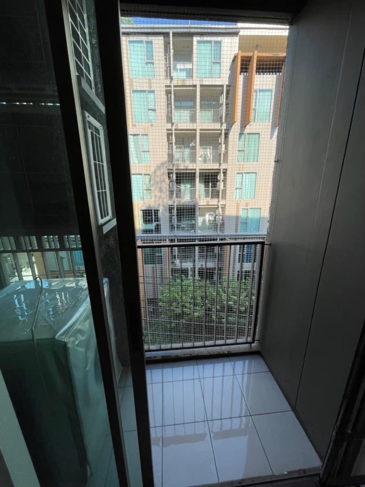 Ns: For Rent/Sale!! THE TREE Sukhumvit 64