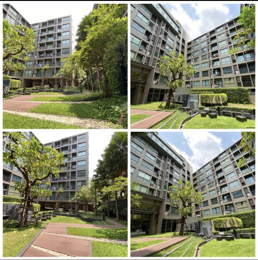 Ns: For Sale!! The Tree Sukhumvit 64